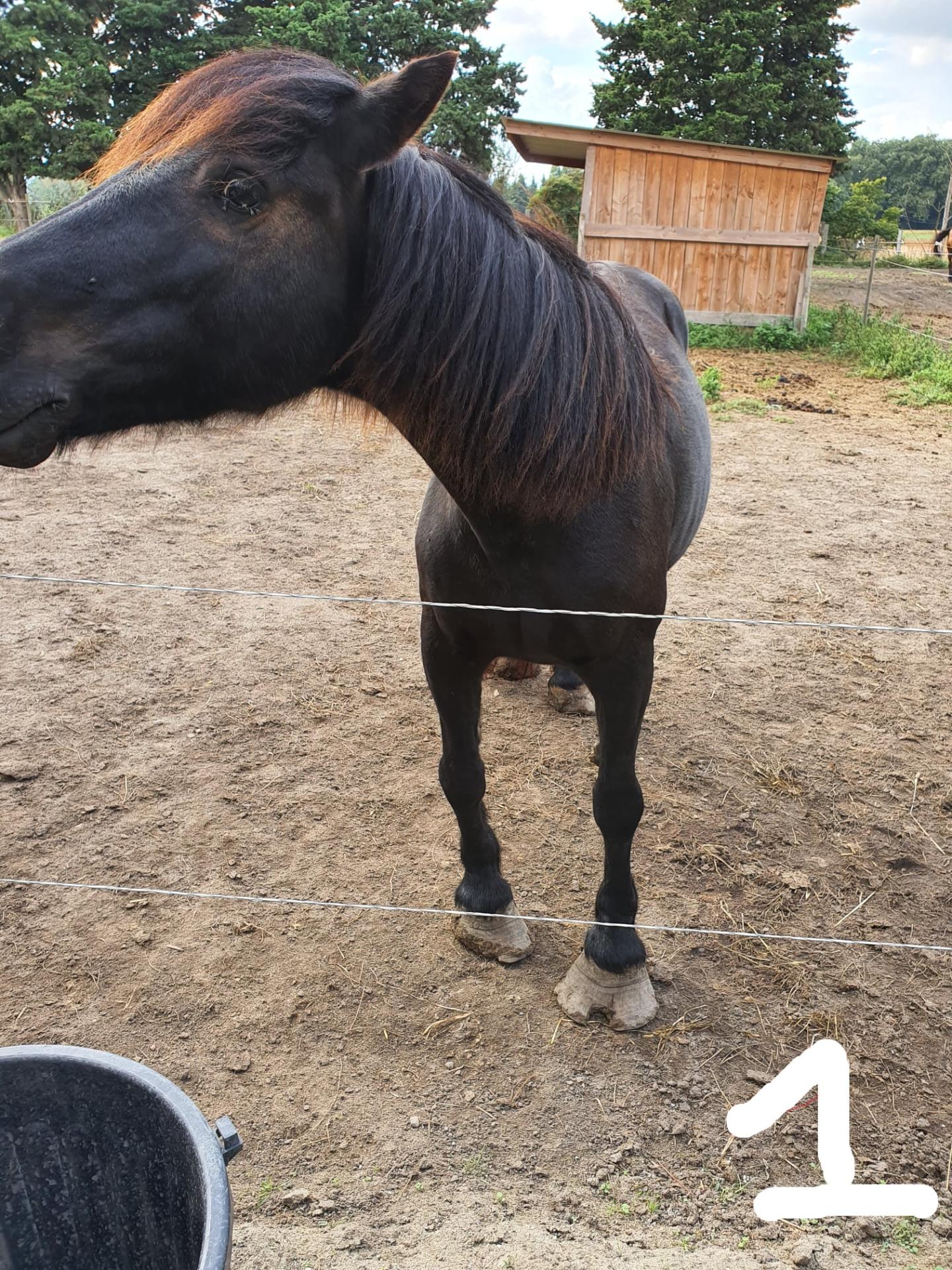 468352879 595628179568049 6202811763402000017 n