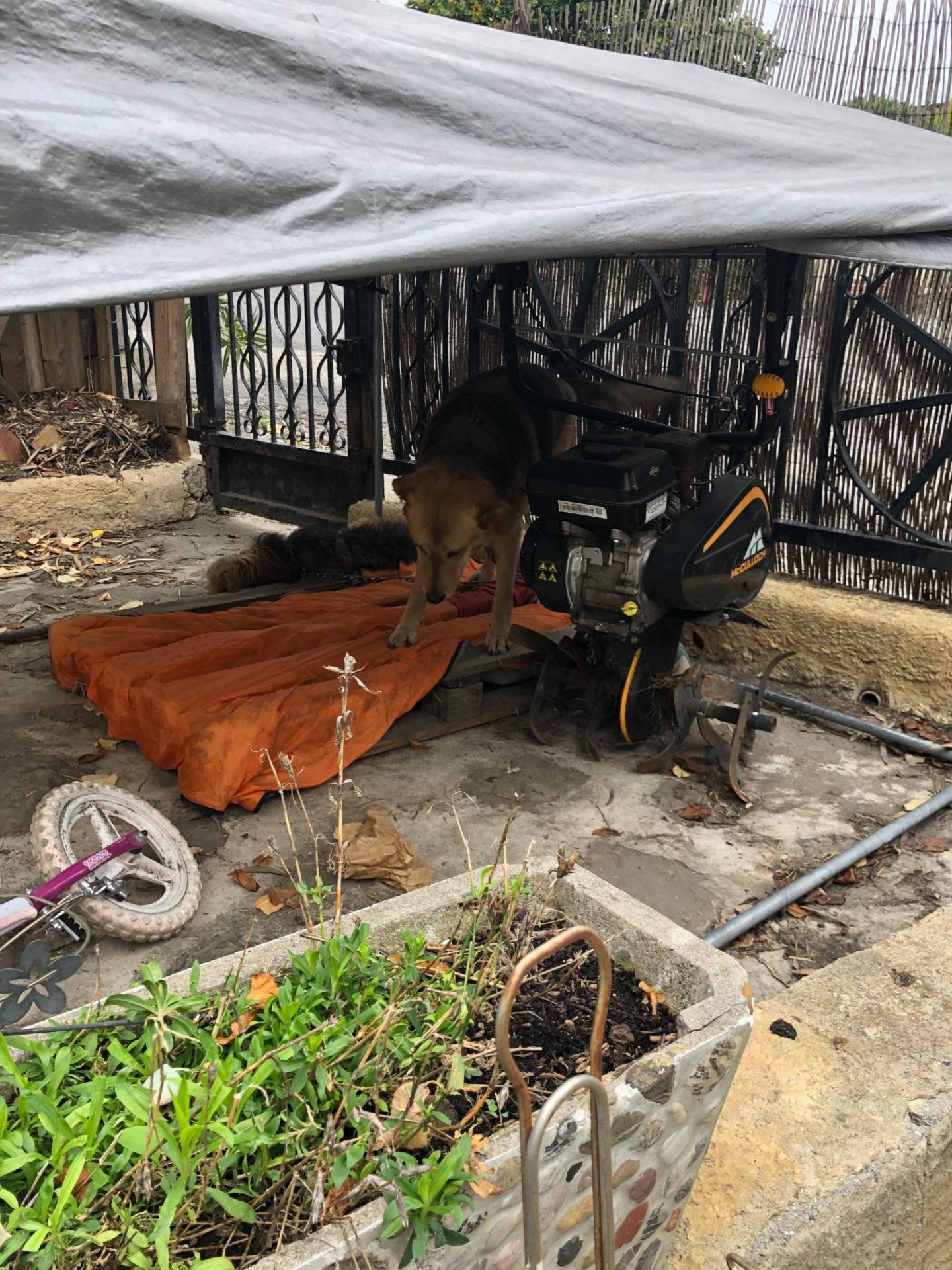 468439105 595628306234703 5233433630405496465 n