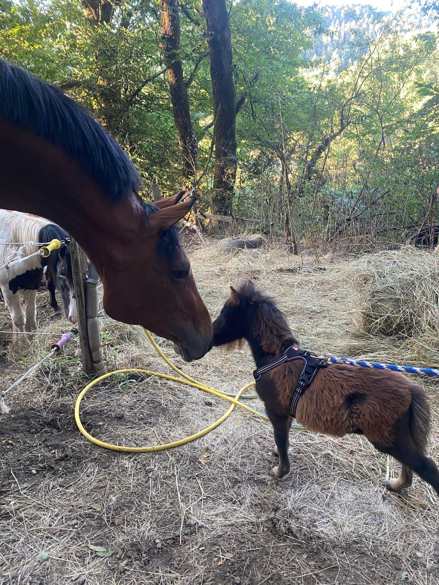 591717411 827730679883196 1011014506876403620 n