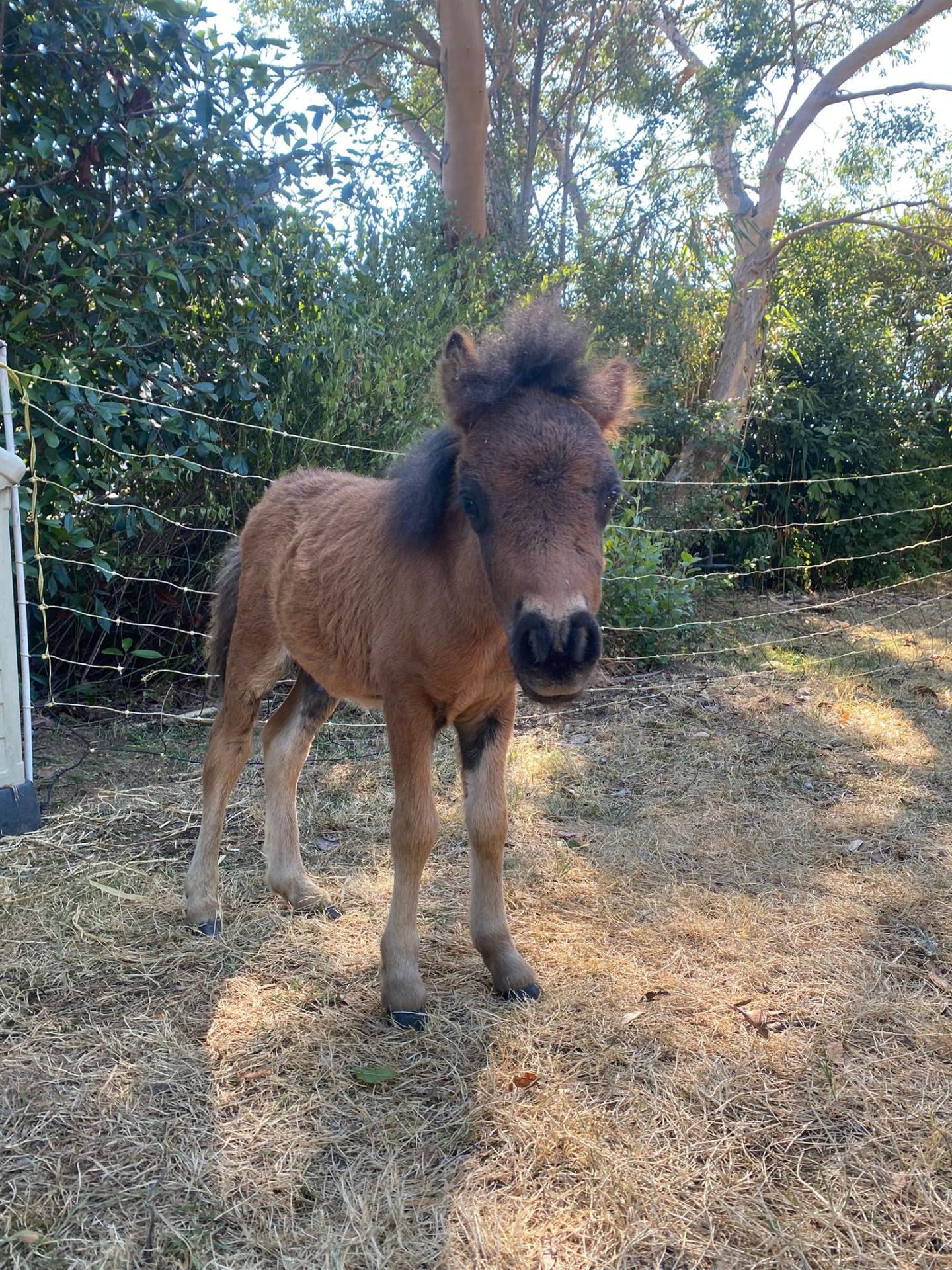 591750715 827730816549849 8725210128168599678 n