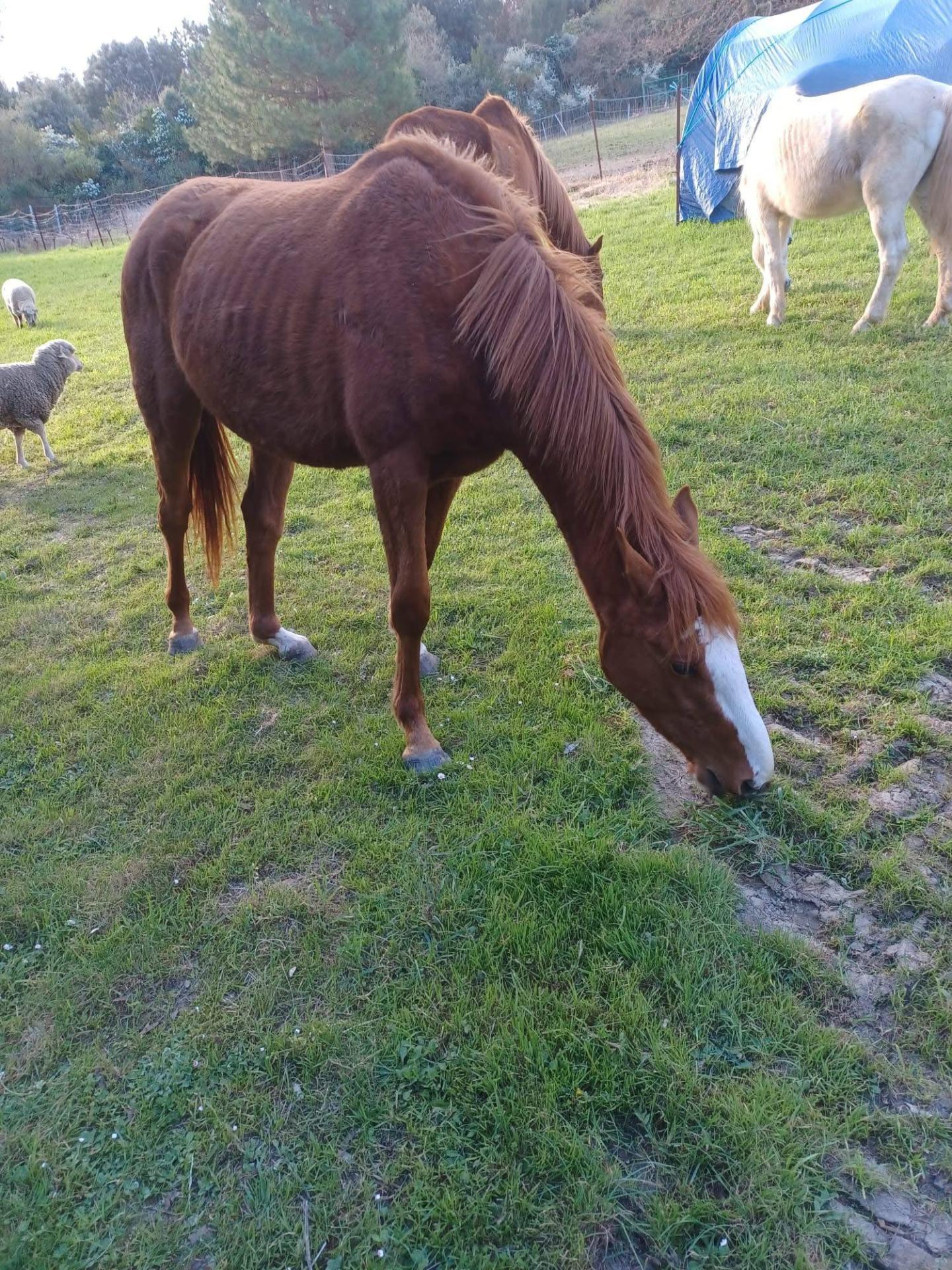 594439893 829858543003743 8741721679645406558 n